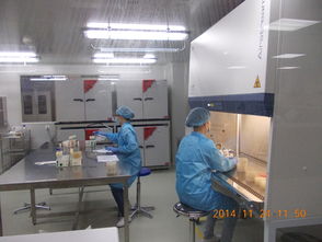 Intertek成功備案特殊食品驗證評價技術機構，助推行業高質量發展